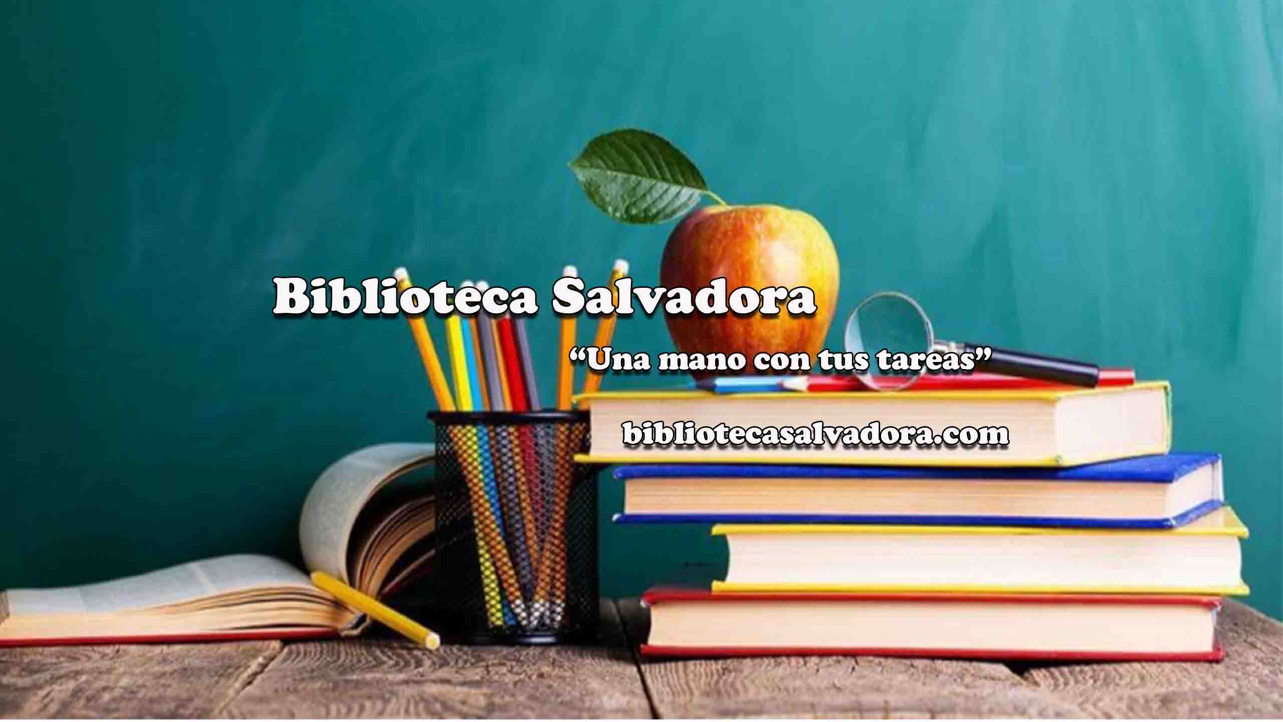 (c) Bibliotecasalvadora.com