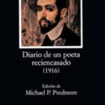 diario de un poeta recien casado resumen completo libro